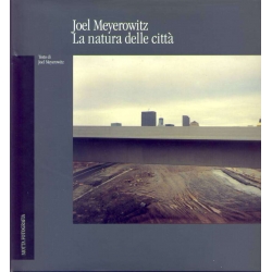 Joel Meyerowitz - La natura delle città