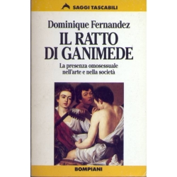 Dominique Fernandez - Il ratto di Ganimede