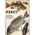 C. Conci - M. Torchio - E. Hulsmann / Pesci