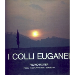 Fulvio Roiter - I Colli Euganei 